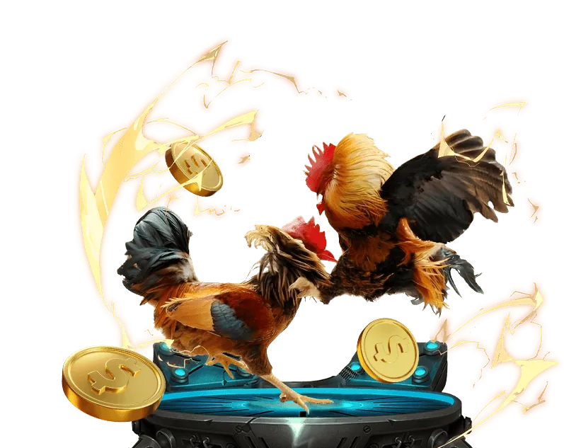 Hỗ trợ toàn diện loto 188